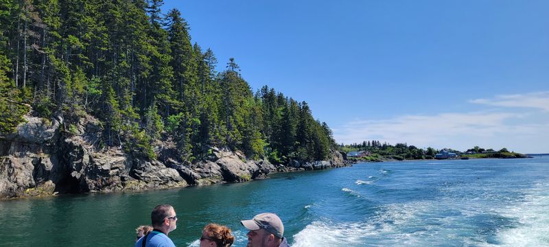 Whale Watching on Passamaquoddy Bay