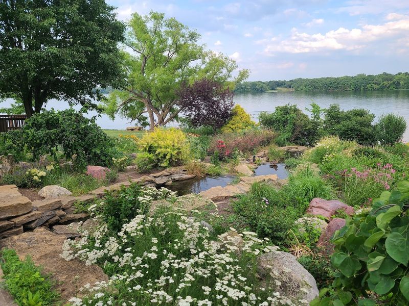What 1,500 Plant Species Actually Looks Like What 1,500 Plant Species Actually Looks Like