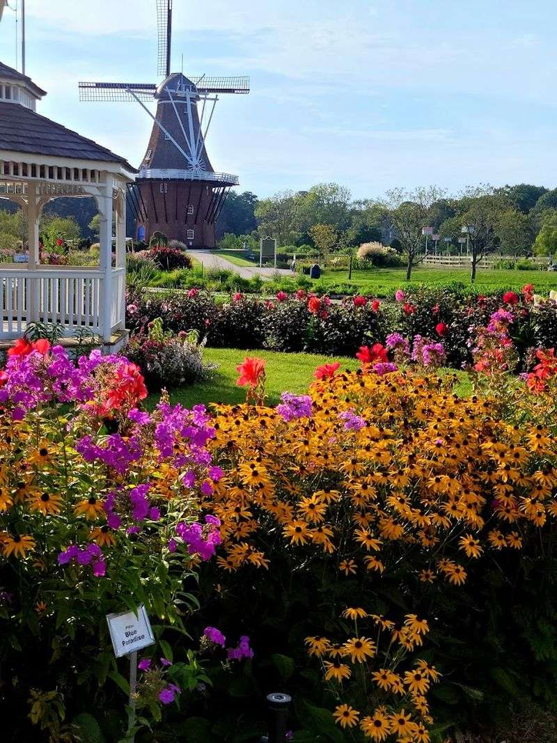 What Happens After the Tulips Are Gone