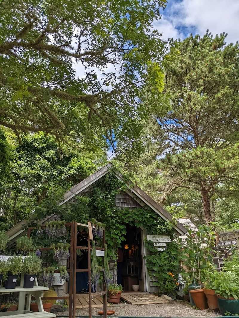 What Makes This Farm Different From Typical Tourist Stops What Makes This Farm Different From Typical Tourist Stops