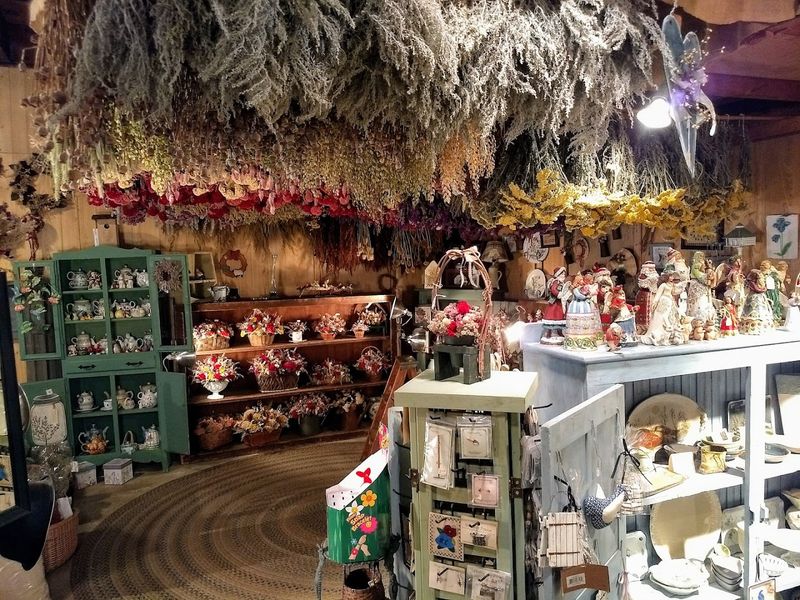 What Makes This Place Different From Every Other Nursery What Makes This Place Different From Every Other Nursery