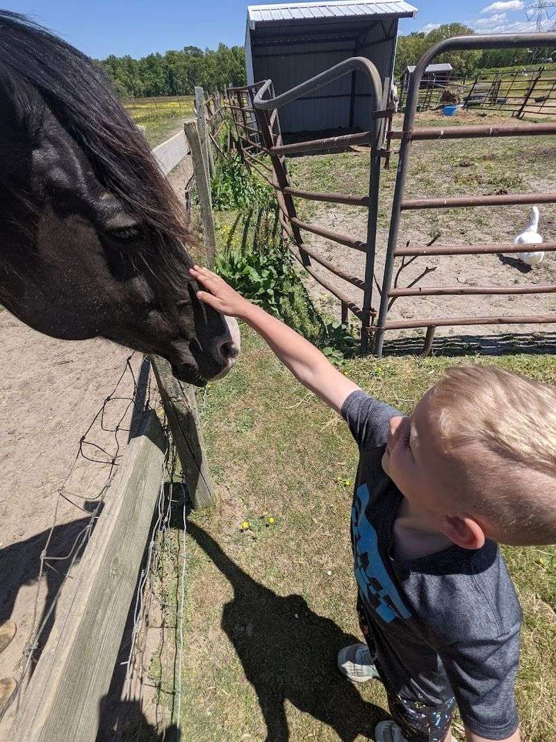 What Makes This Place Different From a Petting Zoo