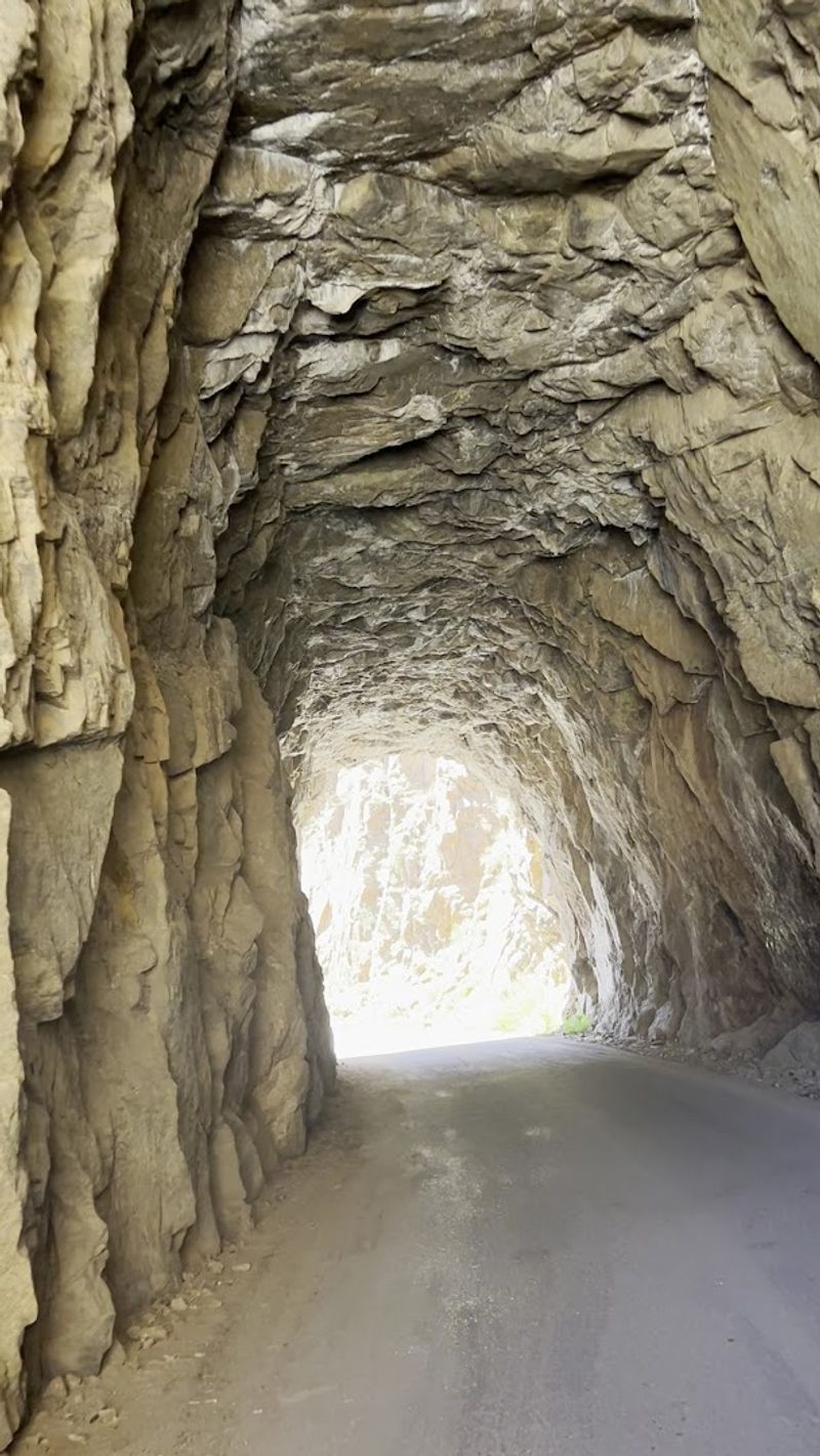 What Makes the Tunnels Themselves So Unusual What Makes the Tunnels Themselves So Unusual
