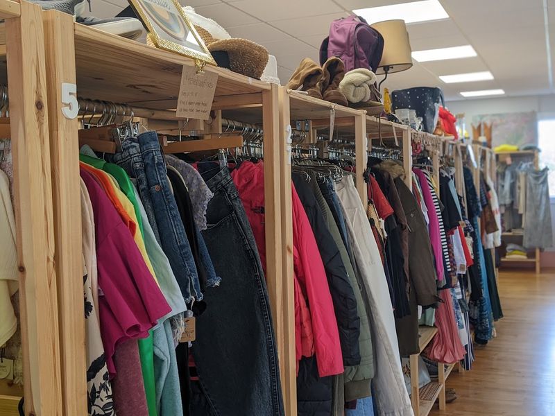 What You Can Actually Find on the Racks