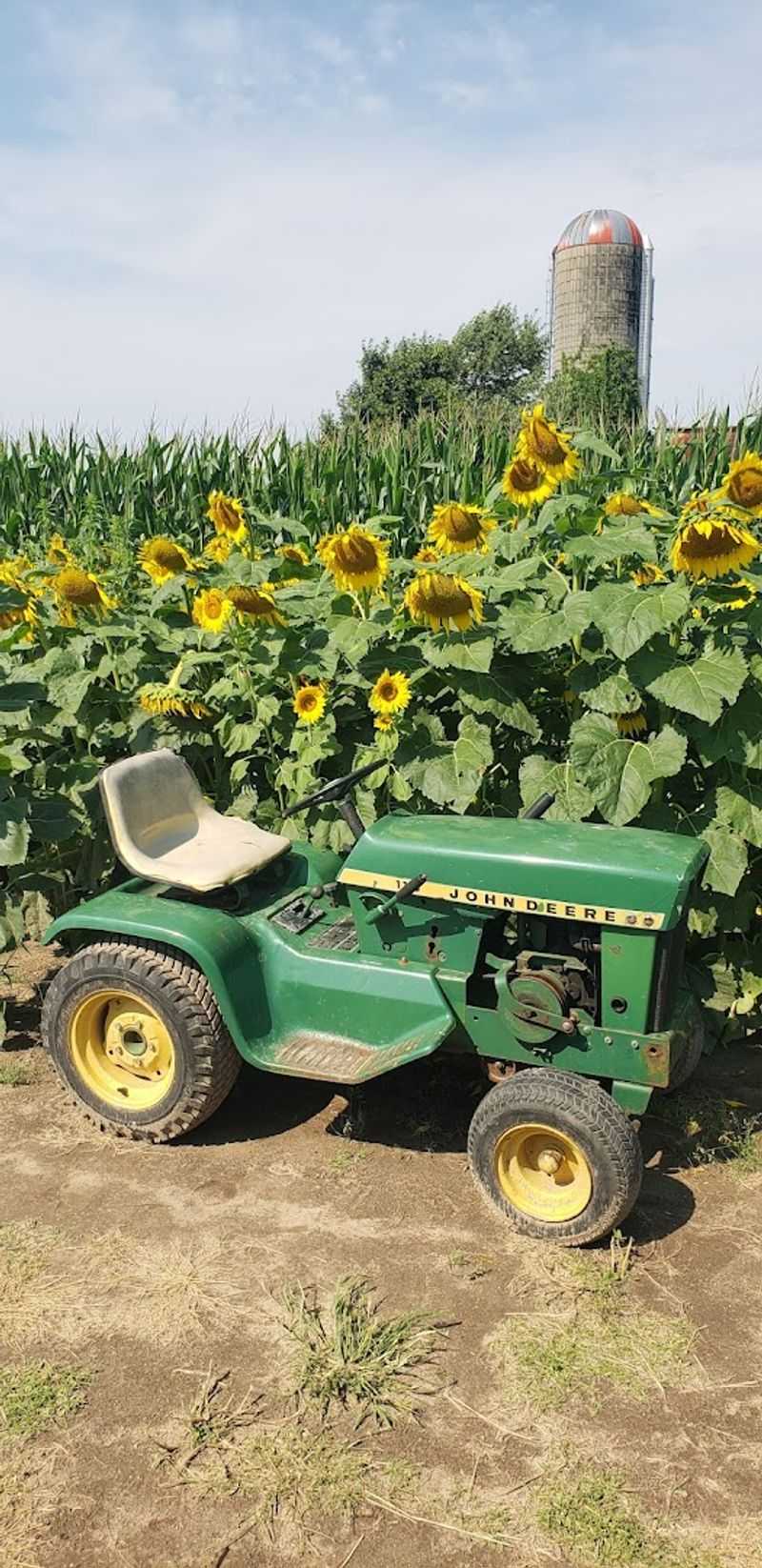 What You Can Buy at the Sunflower Shed