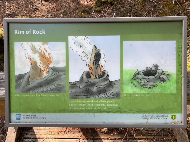 What a Lava Cast Actually Is