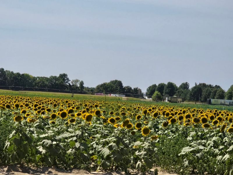 What the Agricenter Actually Is What the Agricenter Actually Is