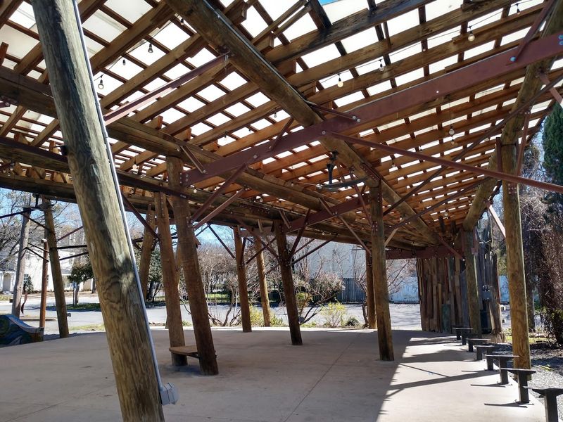 What the Canopy Is Made Of and Why It Matters What the Canopy Is Made Of and Why It Matters