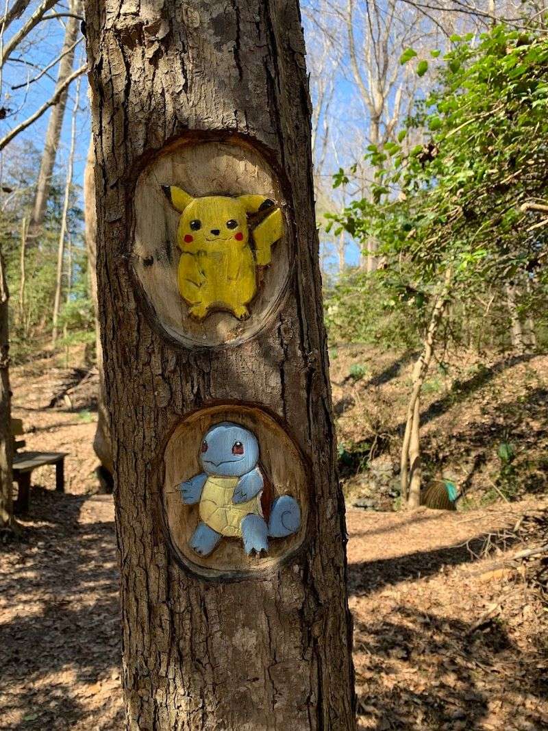 What the Carvings Actually Look Like