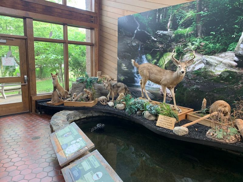 What the Education Center Actually Has Inside What the Education Center Actually Has Inside