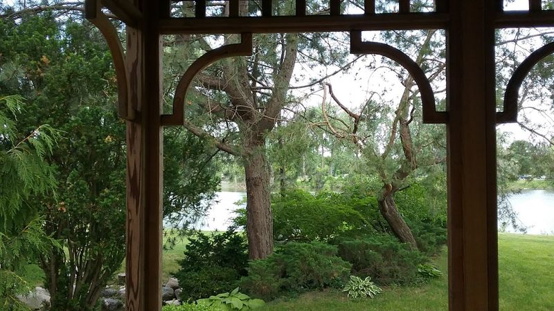 What the Garden Looks Like Through Every Season