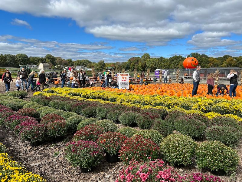 What the Grounds Look Like Throughout the Year What the Grounds Look Like Throughout the Year