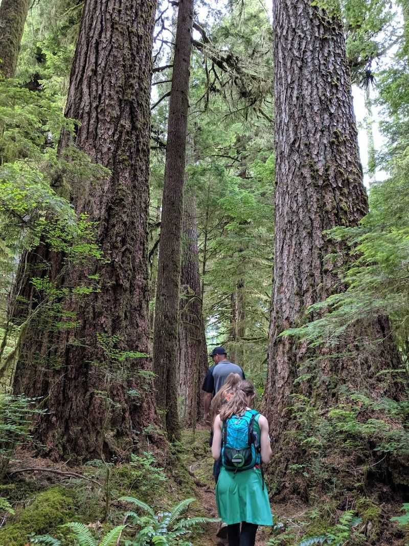 What the Hike Itself Actually Feels Like