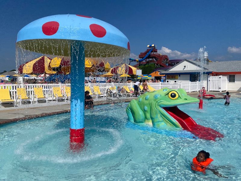 What the Little Ones Can Enjoy at the Park What the Little Ones Can Enjoy at the Park