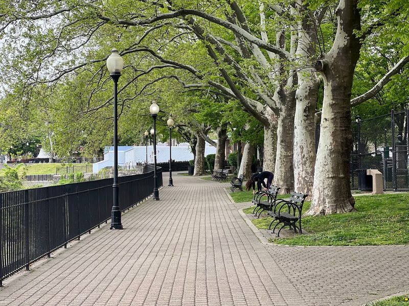 What the Park Actually Looks Like Inside