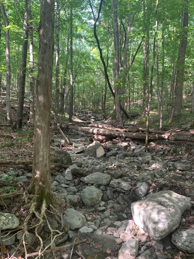 What the Trail Feels Like from Start to Finish
