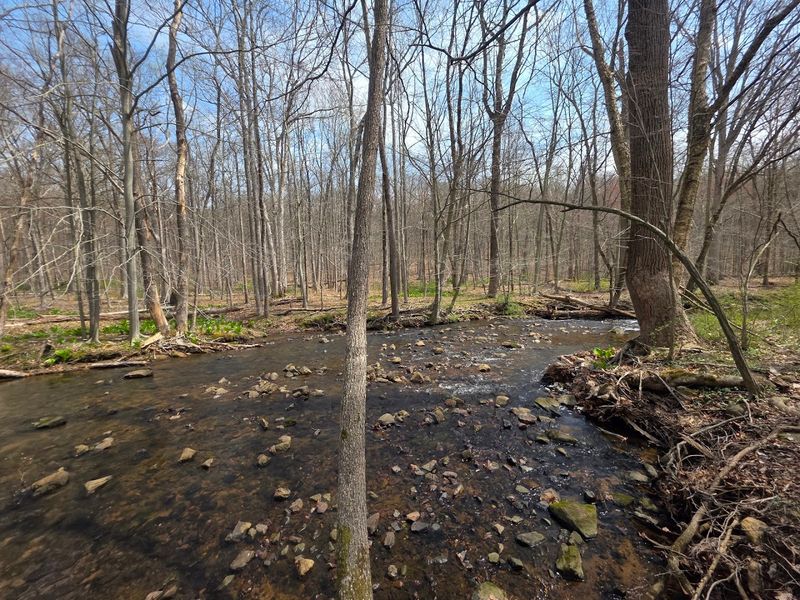 What the Trail Network Actually Looks Like