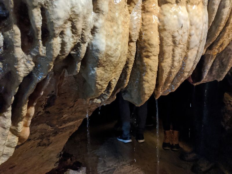 What the Underground Actually Looks Like