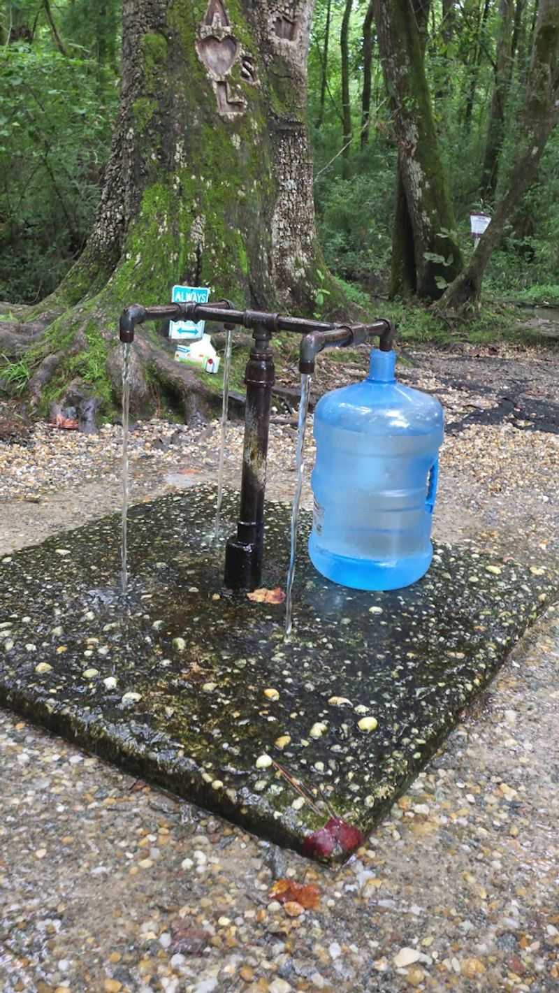What the Water Tastes Like What the Water Tastes Like