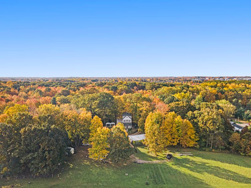 What to Do Beyond the Estate's Borders