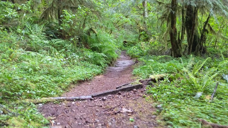 What to Pack and Wear for This Particular Hike
