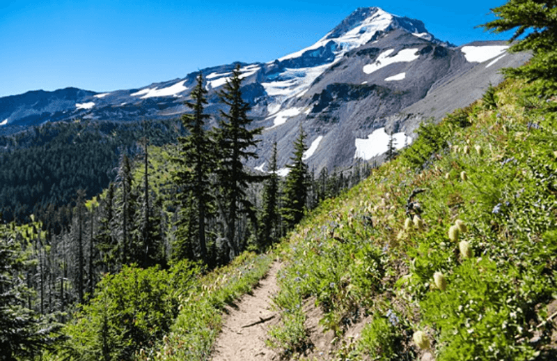 What to Pack for the Hike What to Pack for the Hike