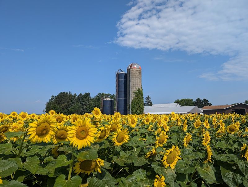 Where Exactly This Farm Sits in West Michigan