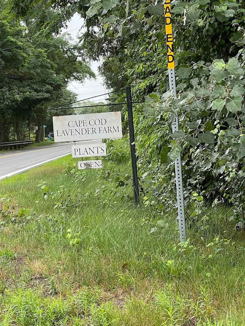 Where Exactly This Hidden Farm Is Located Where Exactly This Hidden Farm Is Located