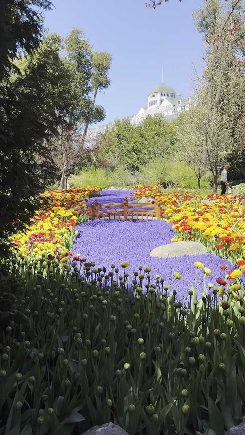 Where Exactly This Hidden Spot Lives