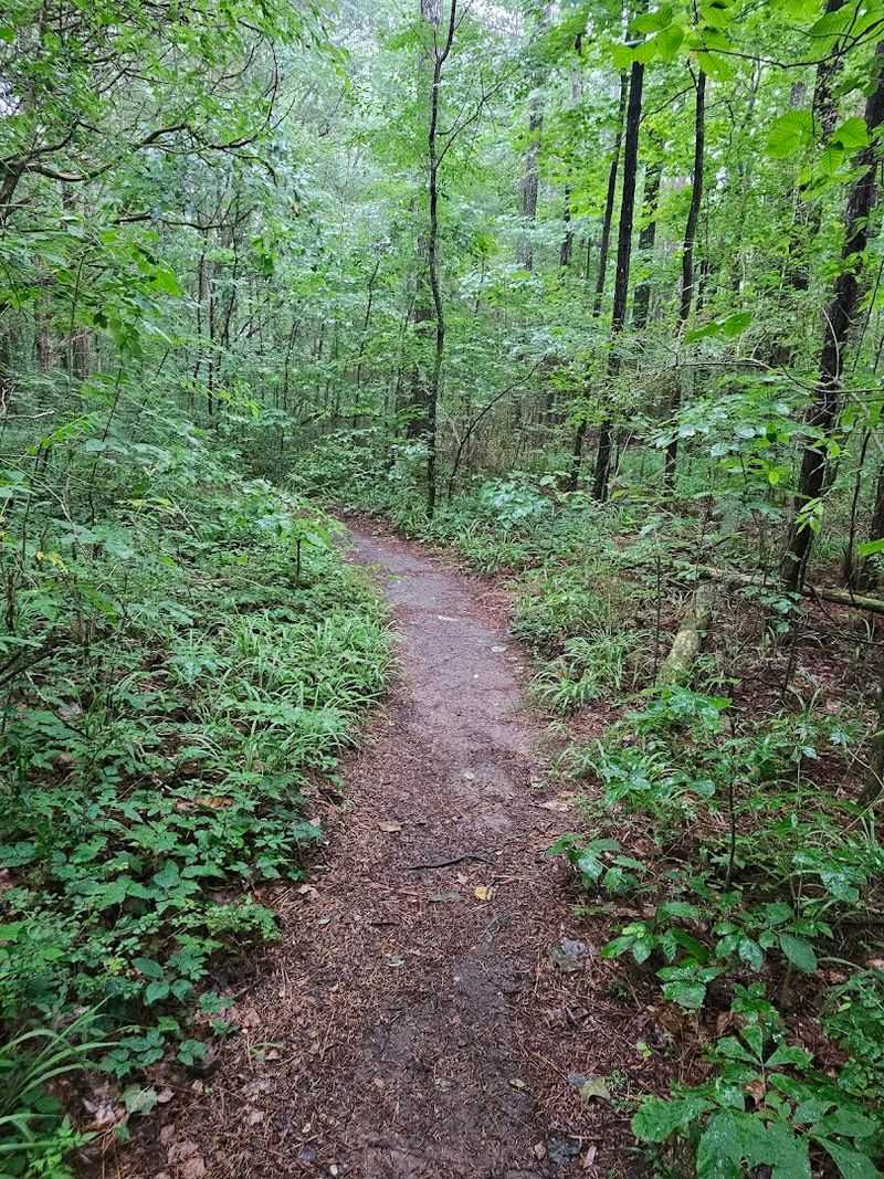 Where Exactly This Place Is and How to Get There