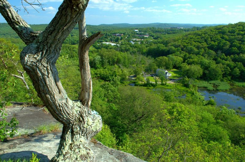 Where Exactly This Wild Corner of New Jersey Sits