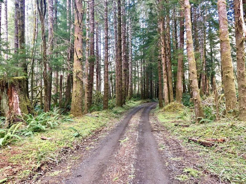 Where Exactly You Are Going and How to Get There