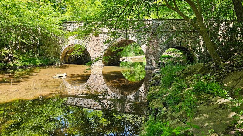 Where Exactly You Will Find This Woodland Sanctuary Where Exactly You Will Find This Woodland Sanctuary