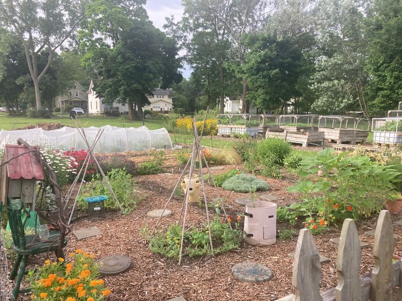 Where It All Began: The Story Behind the Farm