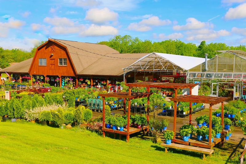 Where It All Begins: The Address and the Acreage