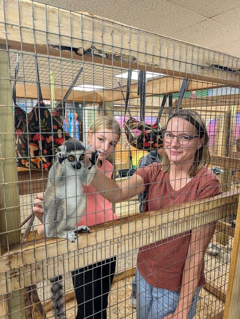 Where PAWsitively Wild Animal Encounters Is and What to Expect on Arrival Where PAWsitively Wild Animal Encounters Is and What to Expect on Arrival