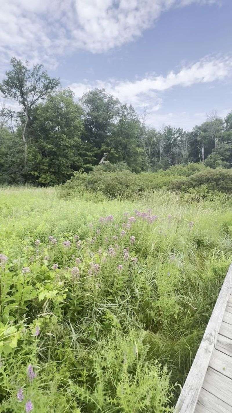 Where This Hike Actually Starts: Location and Access