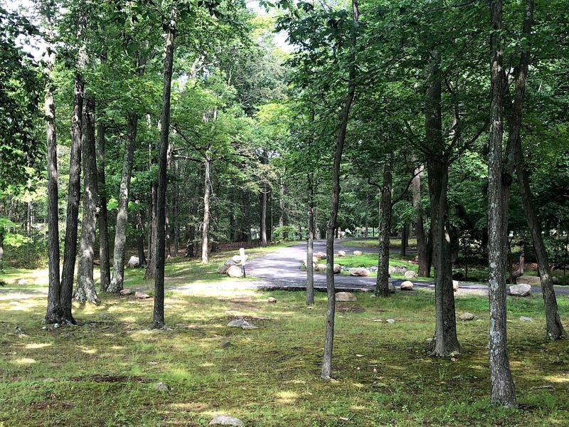 Where This Park Actually Is and What You Are Walking Into