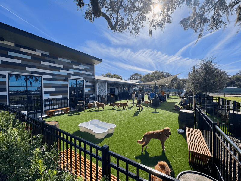 Where You Will Find BarkHaven in Orlando