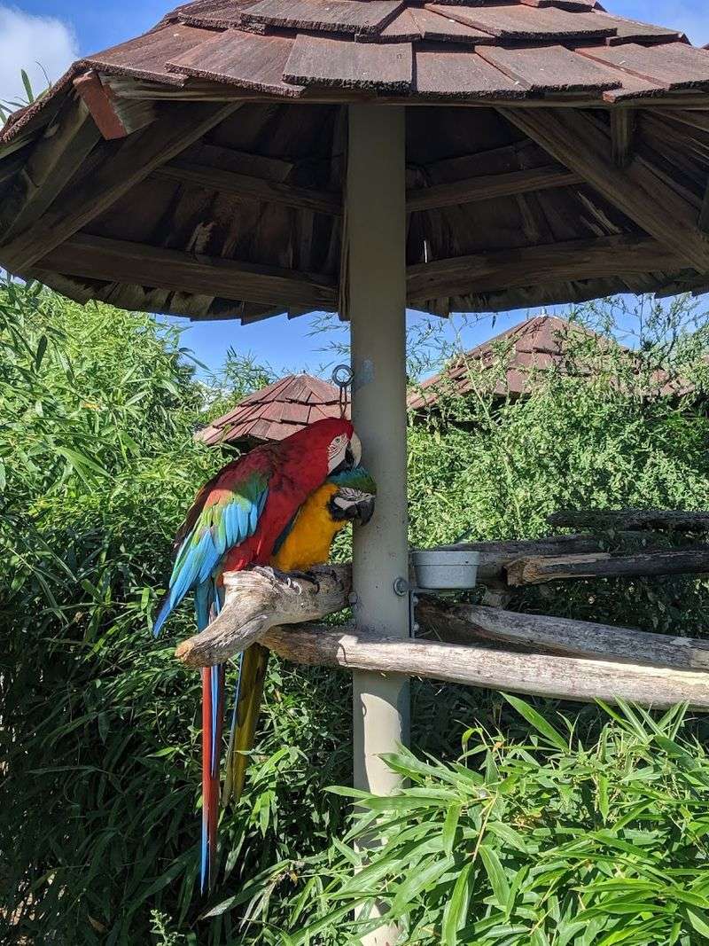Where You Will Find This Place and What to Expect on Arrival