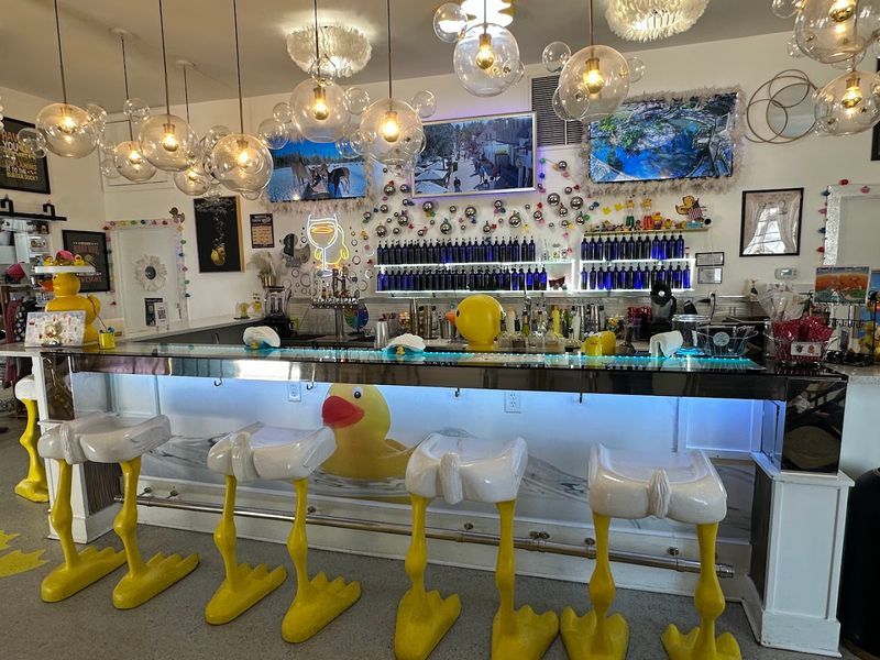 Where the Duck Magic Happens: Finding the Parlor