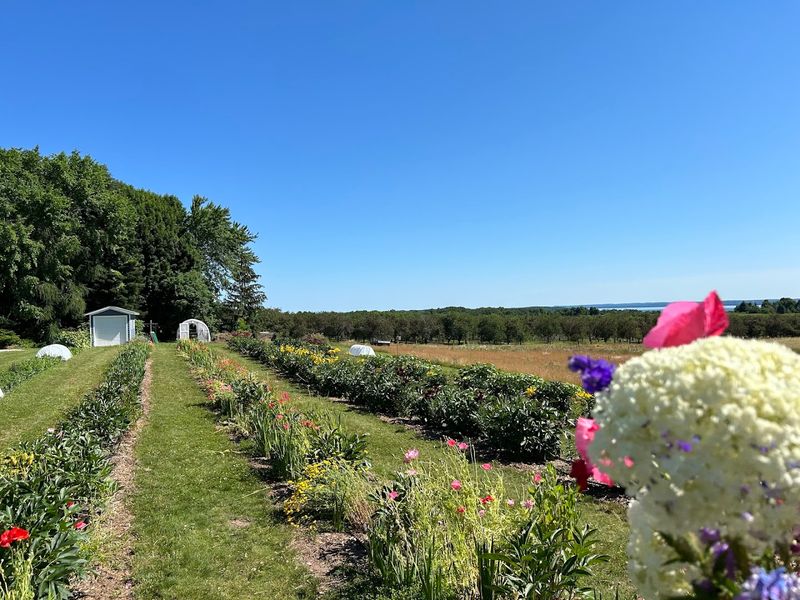 Where the Farm Actually Sits on the Peninsula