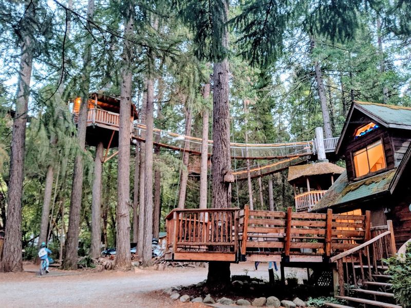 Where the Forest Becomes Your Hotel Room