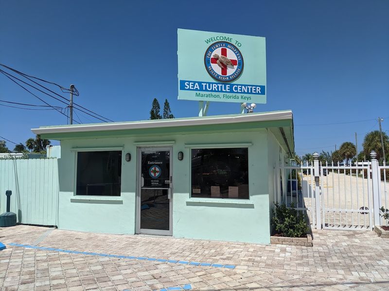 Where the Hospital Sits and How to Find It