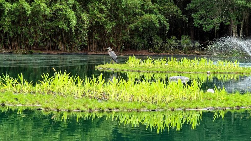 Where the Park Actually Is and How to Find It