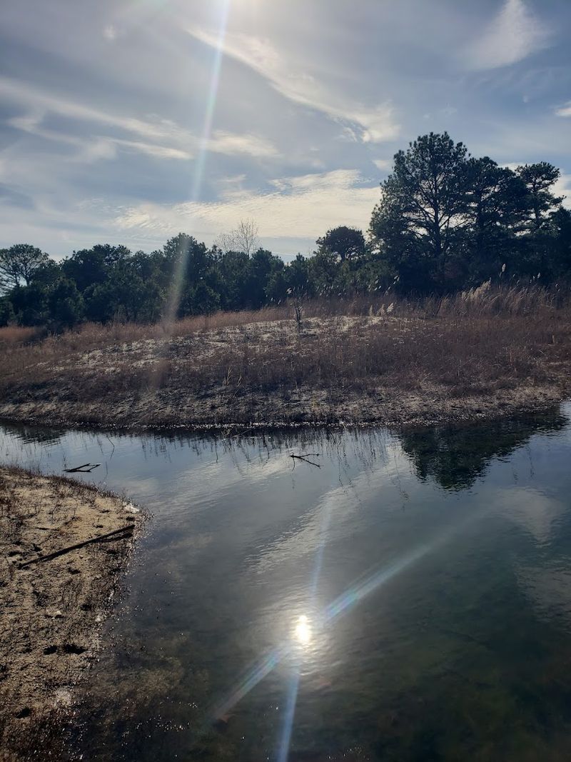Where the Preserve Actually Sits