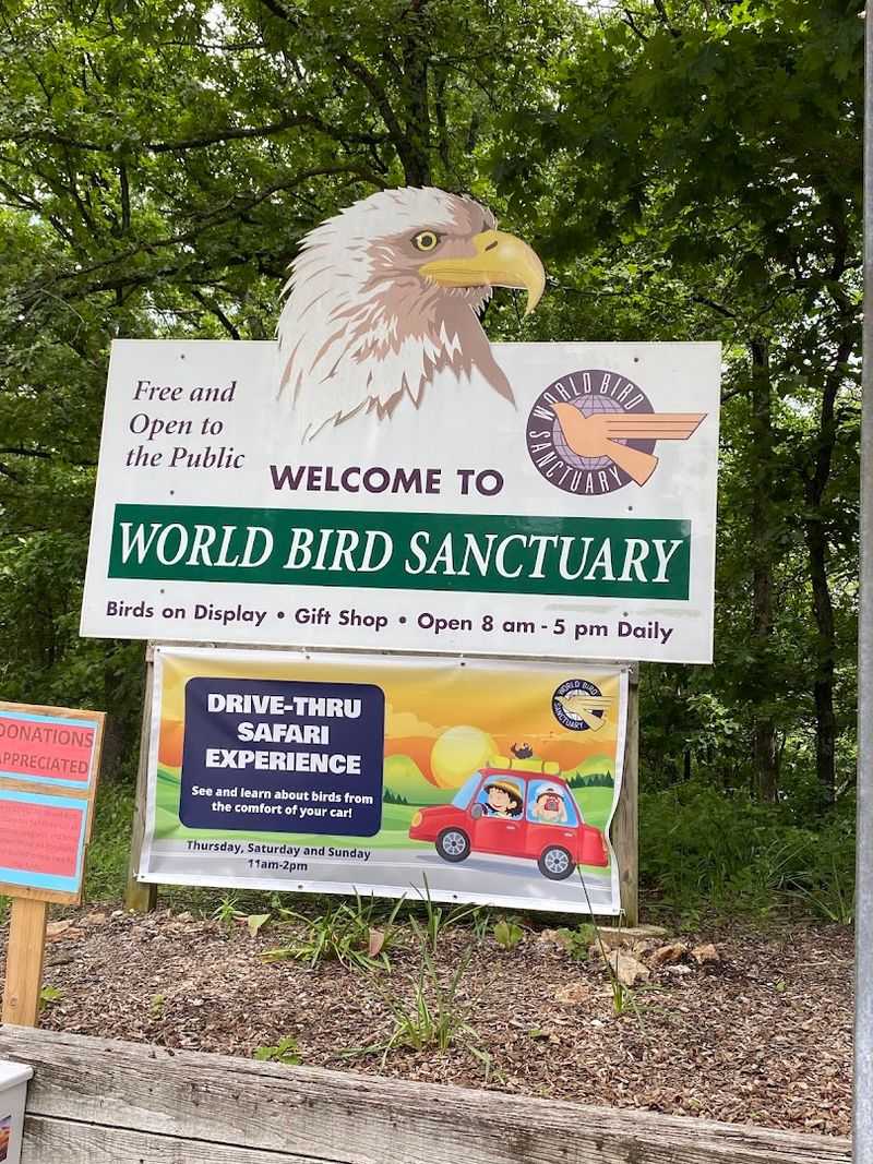Where the Sanctuary Calls Home Where the Sanctuary Calls Home