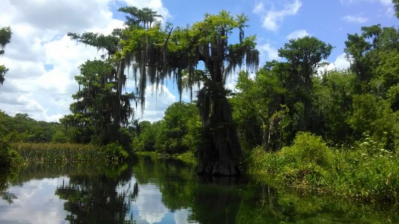 Where the Springs Meet the Story: Finding the Park