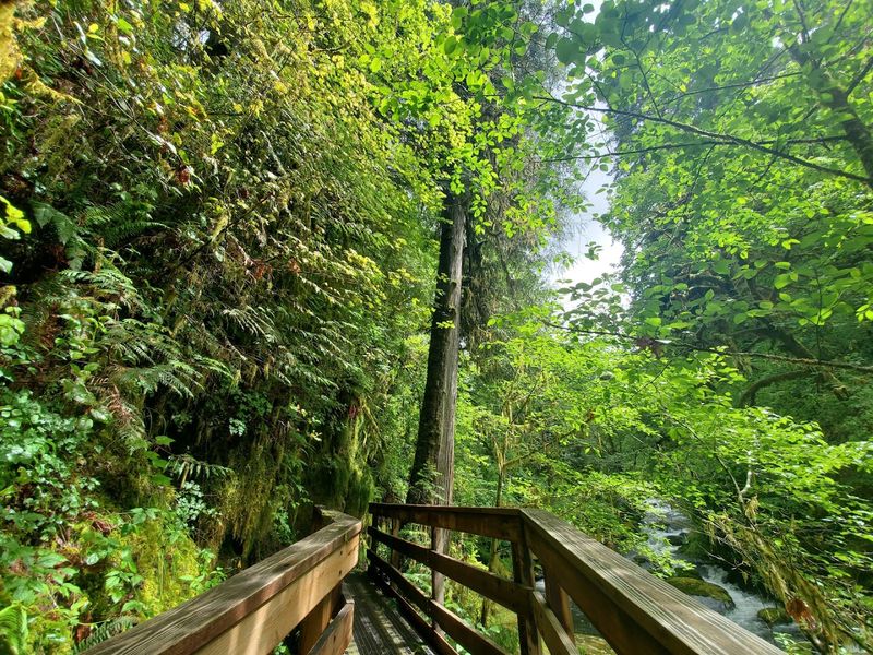 Where the Trail Begins: Address, Location, and Getting There