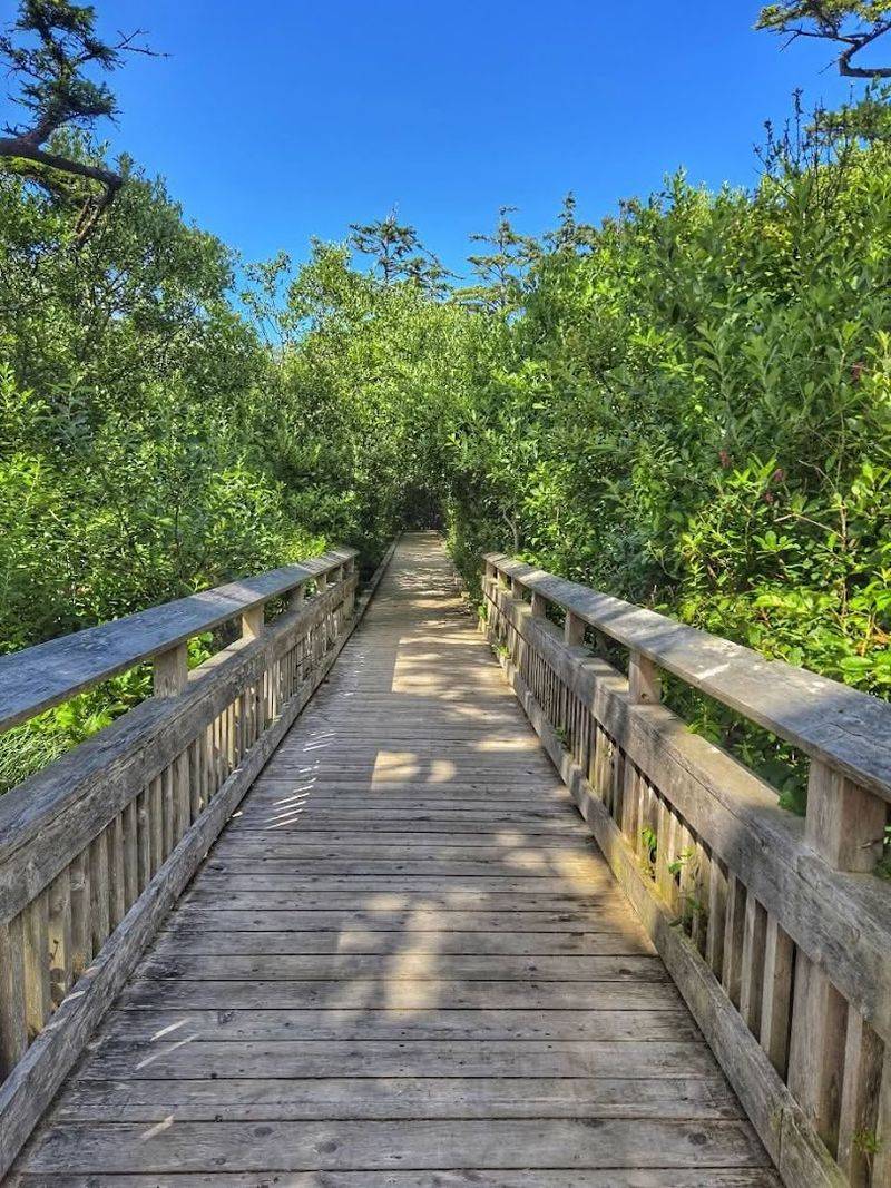 Where the Trail Begins: Location and Access